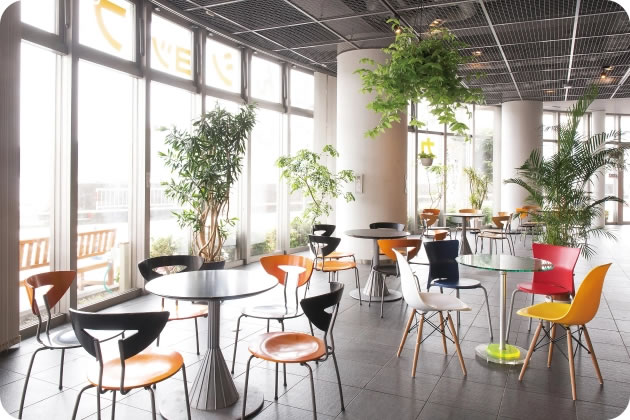 写真：海CAFE（うみカフェ）